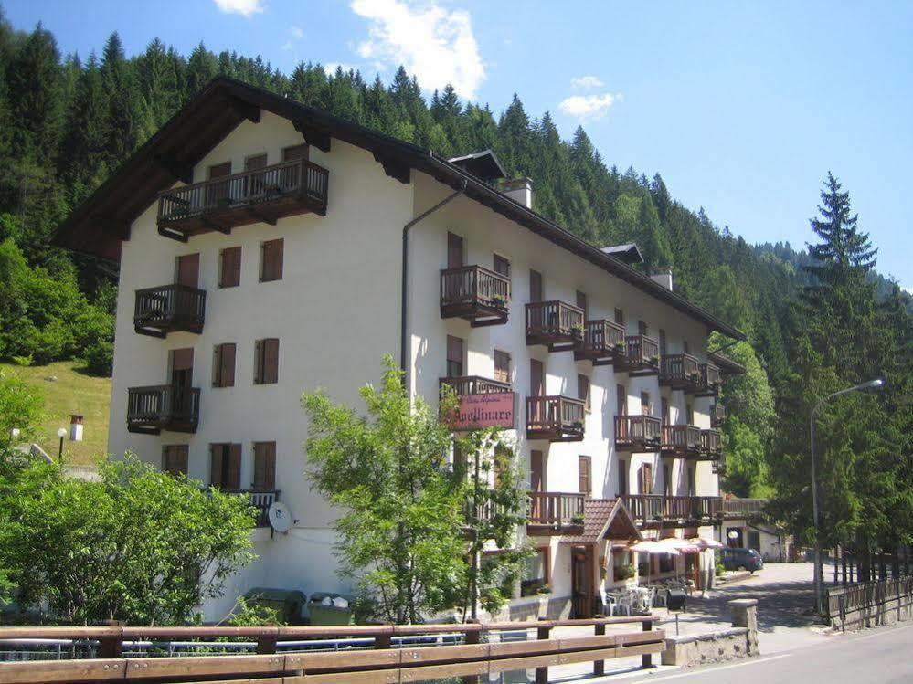 Casa Alpina Sant'Apollinare Falcade Exterior foto